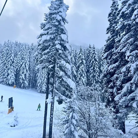 Dimitri Emerald , Near Gondola Apart Otel Bansko