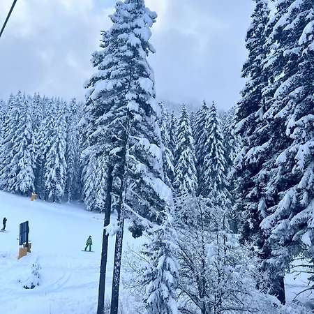 Dimitri Emerald , Near Gondola Aparthotel Bansko