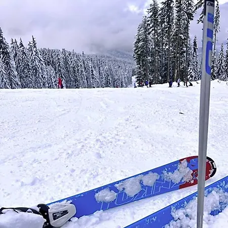 Apart-hotel Dimitri Emerald , Near Gondola 4*