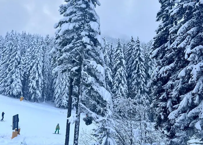 Dimitri Emerald , Near Gondola Aparthotel Bansko