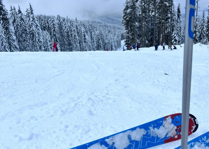 Dimitri Emerald , Near Gondola Aparthotel 4*