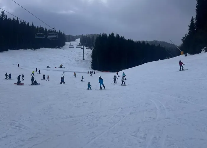 Aparthotel Dimitri Emerald , Near Gondola 4*